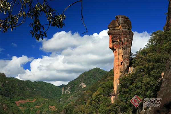 【春暖花开 丽江欢迎您】去丽江老君山遇见“有一种叫云南的生活”