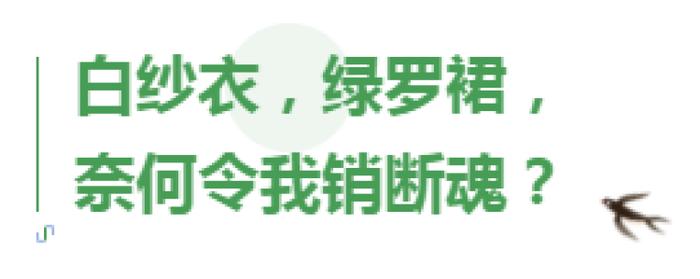 千年濮院“禅意之场”里的时尚邂逅，《清欢集》GRACE CHEN 大秀凸显古典文化之魂