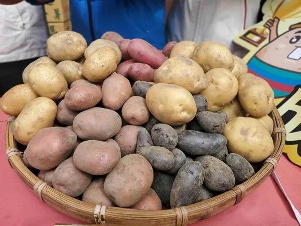 台中学课本称马铃薯为“土豆”引绿营跳脚(图片来源:台湾“中时新闻网”)