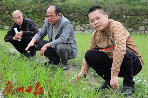 “广州好人”翁少秋爱心团队助力乡村振兴产业