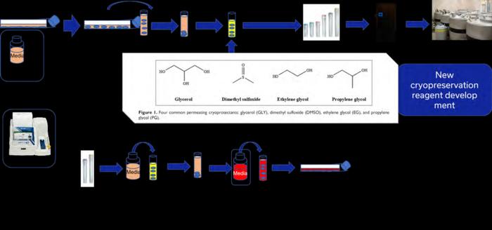 应用秘籍 | 渗透压是细胞冻存的关键指标