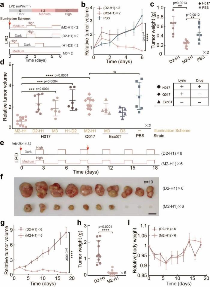 “给点近红外光就捣蛋”——合成生物学赋能细菌