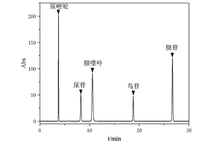 药物分析中极性物质的保留方案