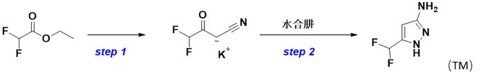 2,2-二氟乙酸乙酯合成5-(二氟甲基)-1H-吡唑-3-胺反应中的杂质解析