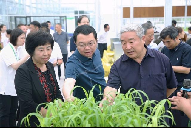 谷雨时节种好粮 四川宜宾推动酿酒专用粮产业化发展