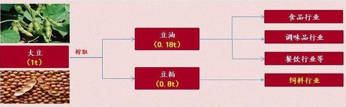 【期股联动】豆油主连下跌超3% 最新概念股一览！