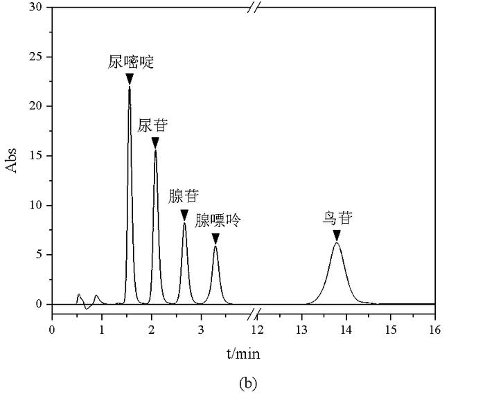 药物分析中极性物质的保留方案