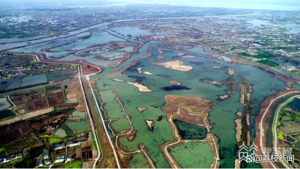 构建生态岛生态滞留塘……扬州北湖湿地成为“野生动植物栖息地”