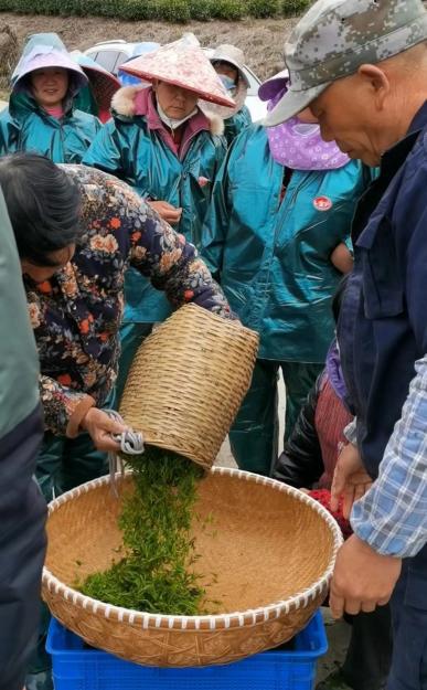 传化农创帮扶项目落地遂昌 助力浙江山区26县乡村振兴