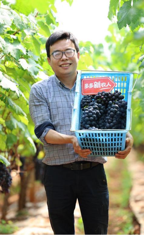 ▲7年前,谢彬从浙江一家国企辞职,来到云南建水种植葡萄。段玉良 | 摄