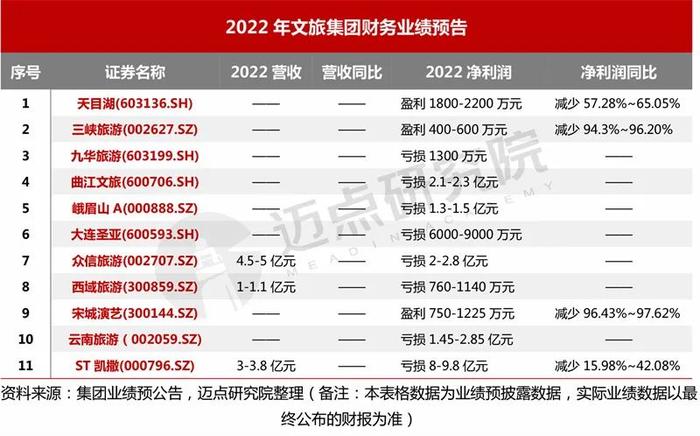 2022年文旅集团财务分析报告