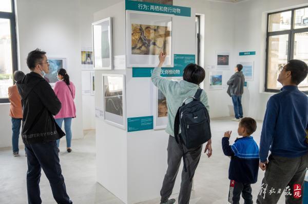 世界地球日：百幅顶级野生生物影像作品亮相黄浦江畔