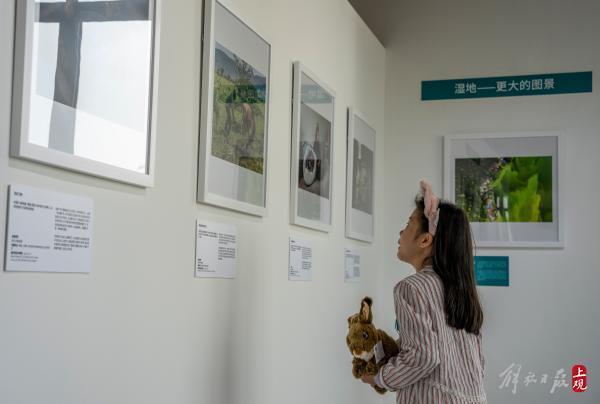 世界地球日：百幅顶级野生生物影像作品亮相黄浦江畔