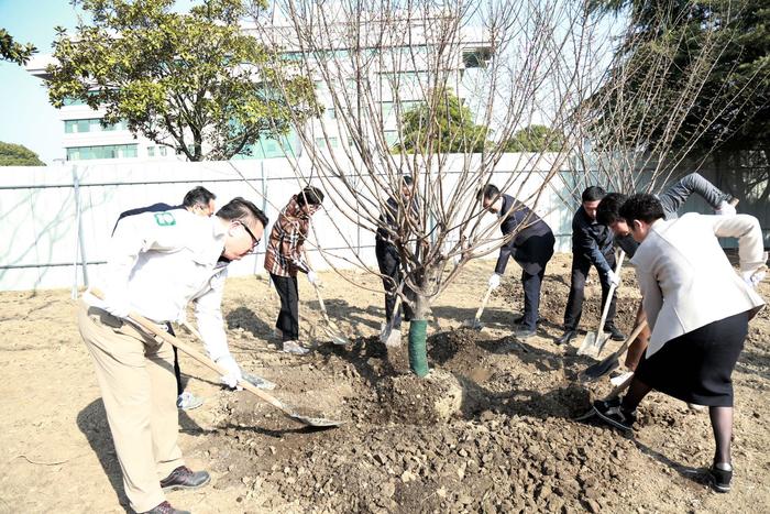 树线矛盾怎么解决？金山区这两个单位的政企党建联建合出了凝聚力