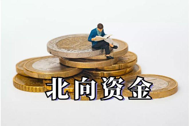 利润从5亿增长到155亿，股价大跌70%，北上资金逆势加仓4.4亿股