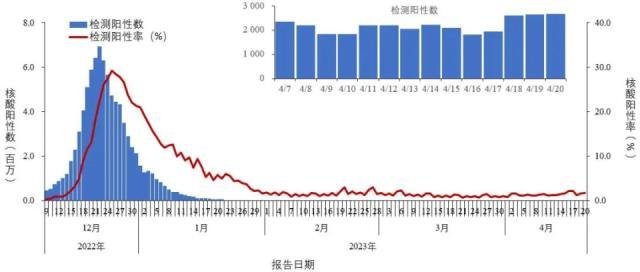 “二阳”冲上热搜，金冬雁：只有少数