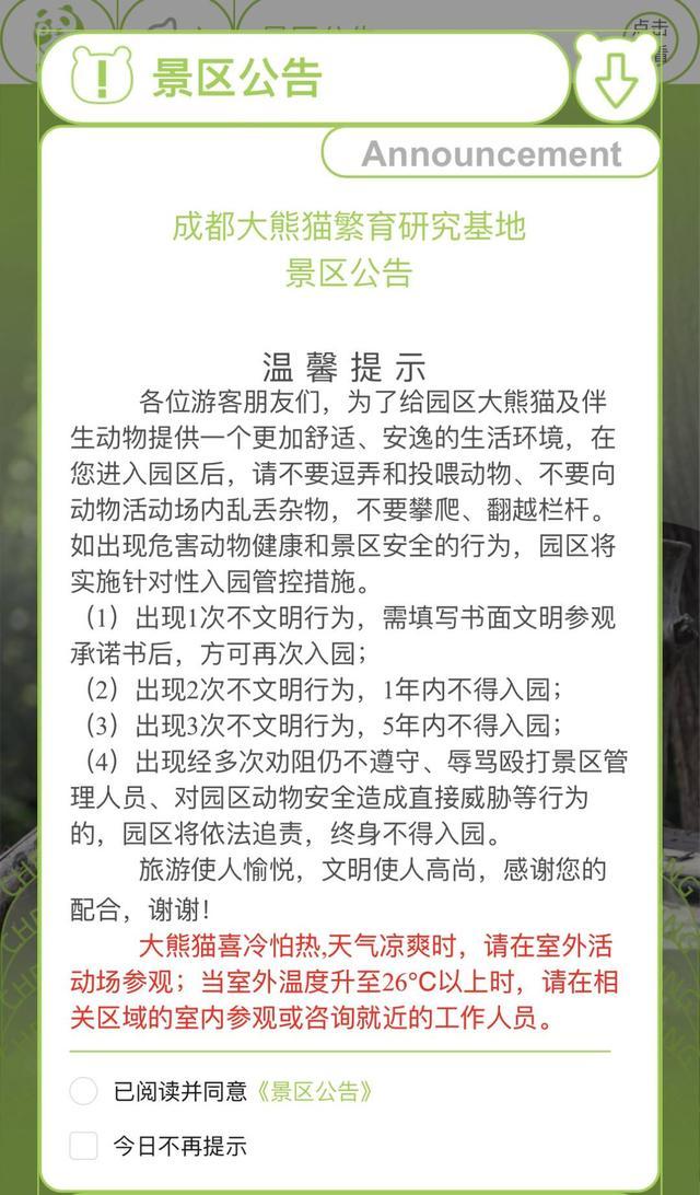 11天通报5起不文明行为，2人1年内禁入！参观熊猫基地需遵守这些规定