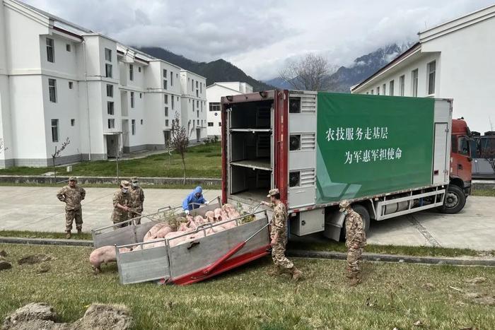 千里送农技 温暖进军营｜融通农发践行为军首责 助力部队“菜篮子”建设