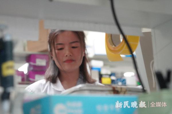 越柔软越坚强！上海科学家发现柔性是人体“免疫部队”发挥作用的关键