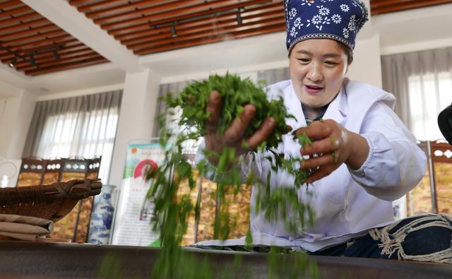 组图｜临沭：茶树种植专业合作社走出“茶文旅融合”路