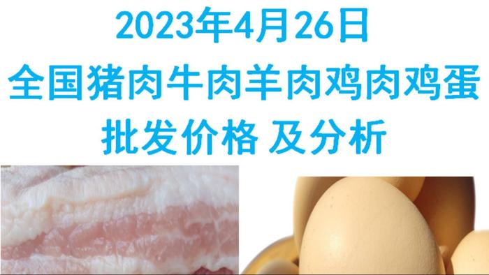 2023年04月26日全国猪肉牛肉羊肉鸡肉鸡蛋批发价格日报走势分析