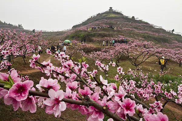 国家部委推介！3个区县13个精品景点，带你玩转重庆美丽乡村！