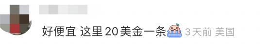 上海一条吐司卖98元，黄牛价300元，面粉里掺黄金了吗