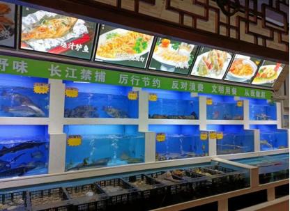 宁夏银川金凤区：拒绝餐饮浪费 引领社会新“食”尚