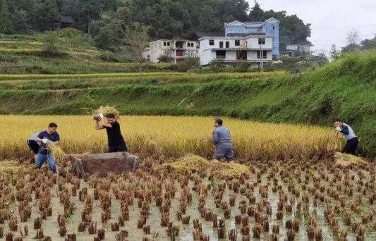 【全省“人民满意的公务员”风采】姚鹏：以初心扮演好每一个角色 用奋斗赋能每一项本领