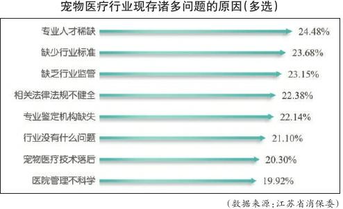 宠物医疗调查报告：缺乏资质 标价不明等问题突出