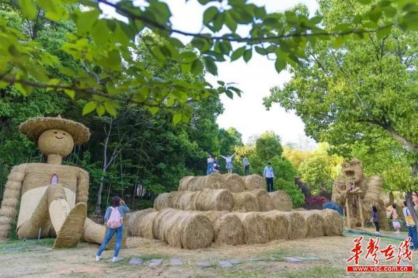 巨型稻草、帐篷露营……长假将至，不妨来石燕湖过“五一”