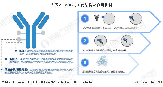 2023年中国抗体偶联药物(ADC)行业市场供需情况分析 市场下调受利于医保谈判【组图】