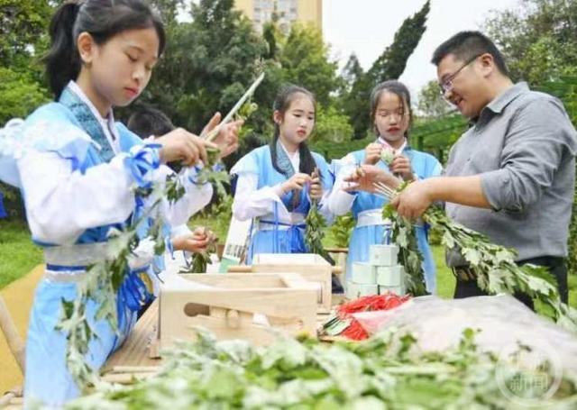 重庆这所学校藏着一个“药王谷” 种有80多种中草药