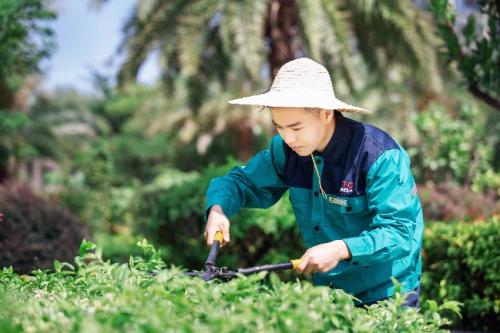 首入五十强！中国物业综合实力排行榜发布  国贸服务位列全国40名