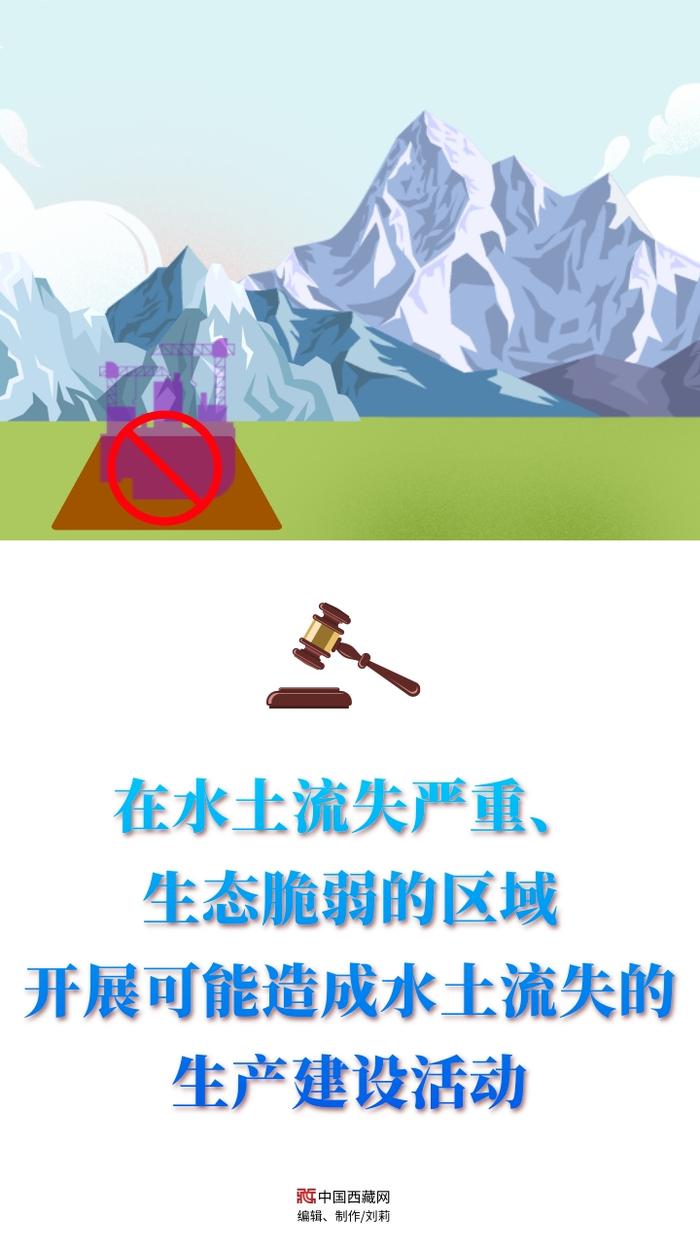 【看图学法】违反青藏高原生态保护法哪些行为会被从重处罚？