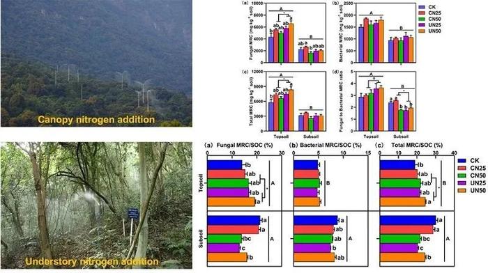 华南植物园发现土壤深度调控热带森林微生物残体碳对氮添加方式的响应