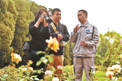 天坛公园花卉中心月季班班长富迎辉——妙手养护 让天坛月季花遂人愿