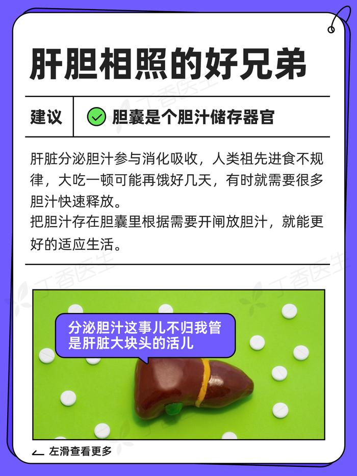 不吃早饭会得胆结石吗？真伤胆的其实是这些