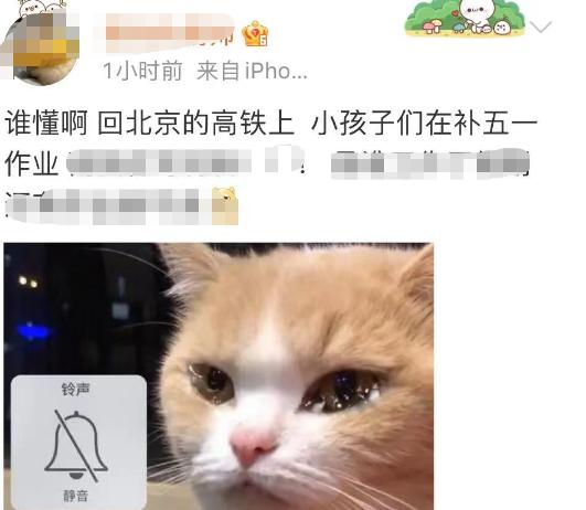 哈哈哈高铁上好多孩子在补作业！有的娃十几张卷子一个字没写