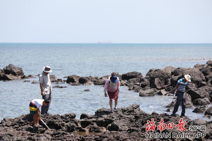 海南环岛旅游公路儋州峨蔓段：遇上海边的浪漫风车