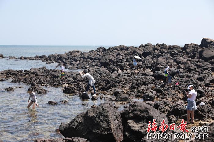 海南环岛旅游公路儋州峨蔓段：遇上海边的浪漫风车