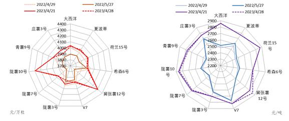 新华指数|马铃薯种植尾期 定西乃至全国种薯补货价格开始走弱