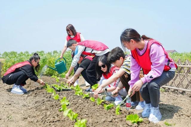 用青春描绘成长的“农耕图”，“五四”青年节他们这样过