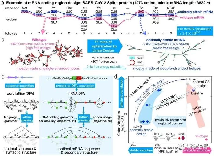 ​一项疫苗保护力指标提升128倍！AI赋能mRNA疫苗与药物研发论文首登CNS主刊