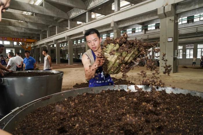 谁是郎酒今年的「上甑王」？2023年酱香郎酒上甑技能竞赛决出结果