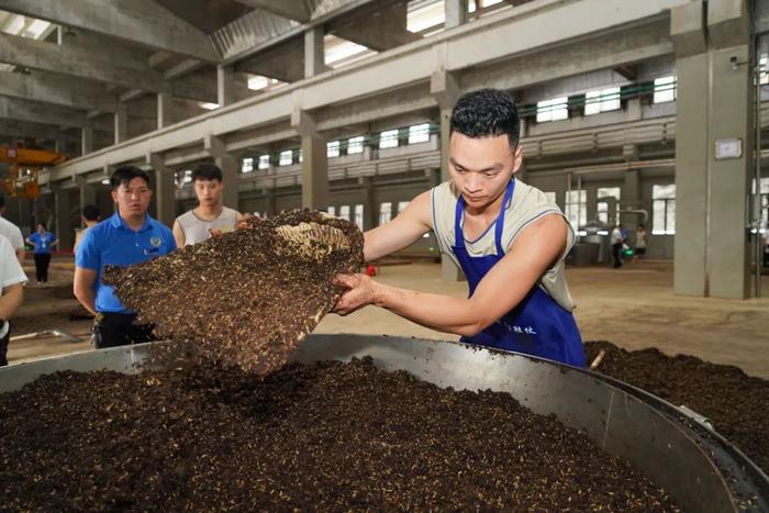 谁是郎酒今年的「上甑王」？2023年酱香郎酒上甑技能竞赛决出结果