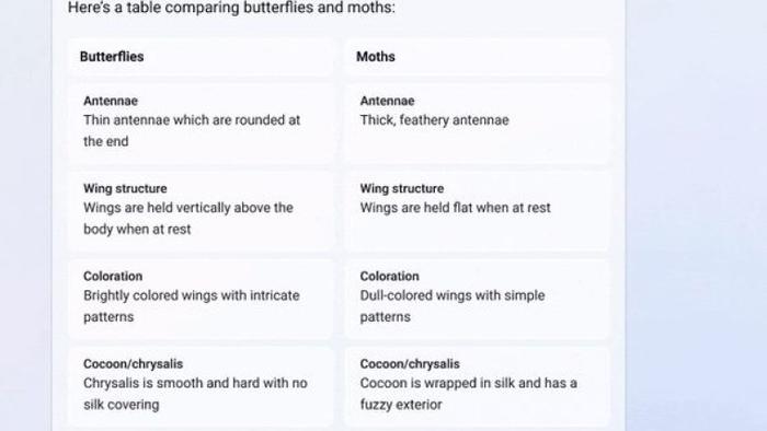 Bing Chat 新特性：格式化聊天内容、支持中文等 100 种语言生成图片