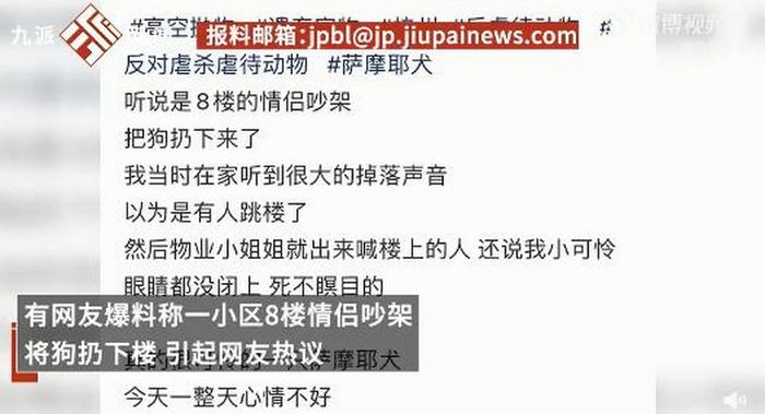 杭州情侣吵架将萨摩耶从8层扔下？派出所回应，网友：狗狗做错什么？不爱别伤害！