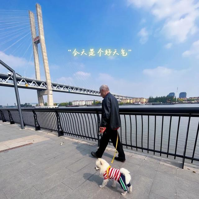 人少绿地多、滨江无围墙、全天开放还宠物友好……闵行这个公园你去过了吗？