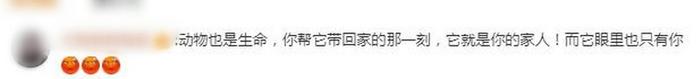 杭州情侣吵架将萨摩耶从8层扔下？派出所回应，网友：狗狗做错什么？不爱别伤害！